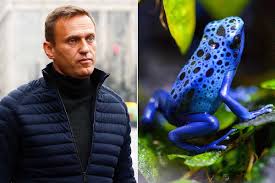 UK Claims Russia Used Dart Frog Toxin in Death of Opposition Leader Alexei Navalny
